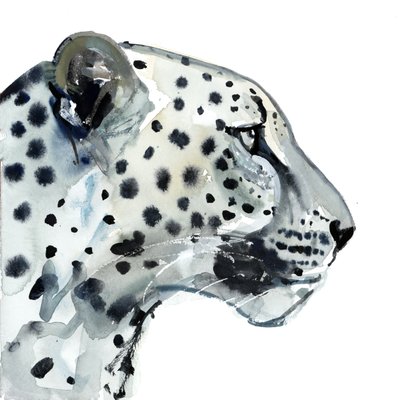 焦点，2015年，（纸上水彩） 作者 马克·阿德灵顿