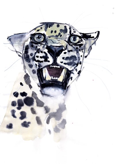 Incisor Snarl（阿拉伯豹），2008年 作者 马克·阿德灵顿