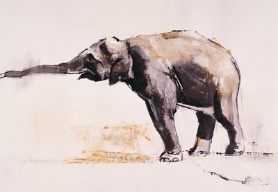印度大象，Khana（纸上混合媒体） 作者 Mark Adlington