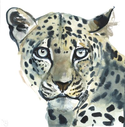Leopard，2015，（纸上水彩） 作者 马克·阿德灵顿