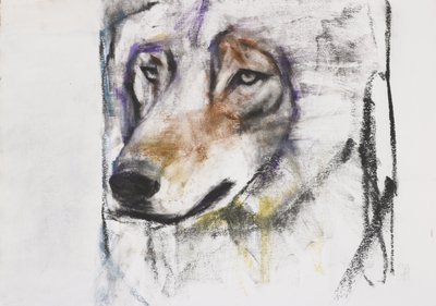 Wolf Process（纸上混合媒体） 作者 马克·阿德灵顿