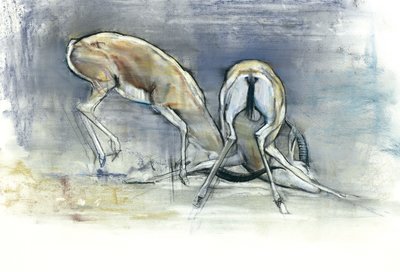 Sand Gazelles，2009年（纸上谈论炭火） 作者 马克·阿德灵顿