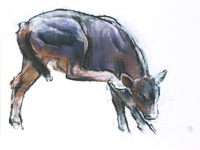 抓小牛，2006年（木炭和纸上谈话） 作者 马克·阿德灵顿