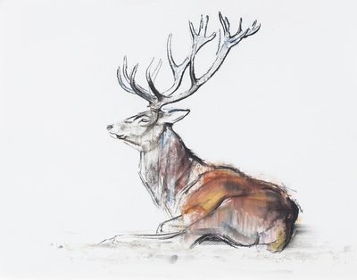 Seated Stag，2006年（木炭和纸上谈话） 作者 马克·阿德灵顿