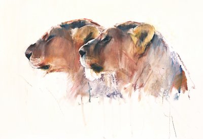 姐妹们，埃托沙，2017 作者 马克·阿德灵顿