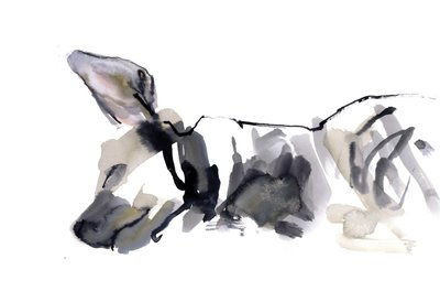 睡觉Hyaena，2010年，（纸上水彩） 作者 马克·阿德灵顿
