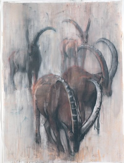 庄园的Stambecchi（纸上混合媒体） 作者 马克·阿德灵顿