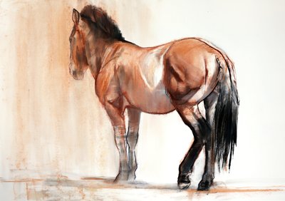 Stand（Przewalski），2013，（粉彩和木炭在纸上） 作者 Mark Adlington