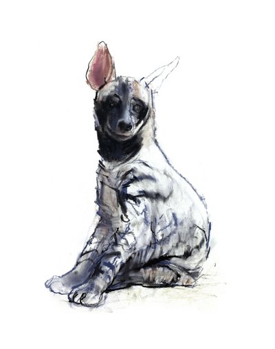 条纹Hyaena小狗（坐着），2010年，（续约和纸上粉彩） 作者 马克·阿德灵顿