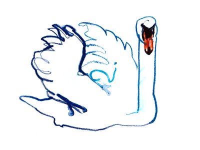 Swan, 2021 作者 马克·阿德灵顿
