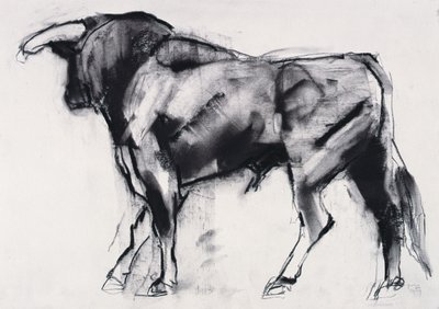 Toro Azul，研究（木炭纸上） 作者 马克·阿德灵顿