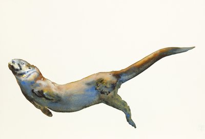 天鹅绒，2014年，（纸上水彩） 作者 马克·阿德灵顿