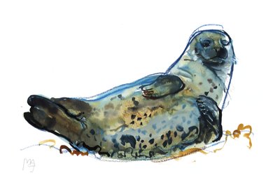 Westcove seal, 2019 作者 马克·阿德灵顿