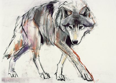 狼（纸上混合媒体） 作者 马克·阿德灵顿