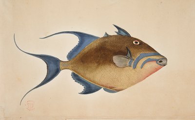 一条鱼 作者 马克·凯茨比