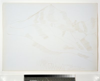 房子和松树山风景 作者 马斯登·哈特利