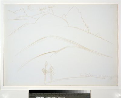 山区景观与两棵松树 作者 马斯登·哈特利