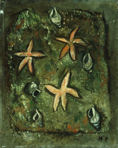 星鱼和贝壳 作者 马斯登·哈特利