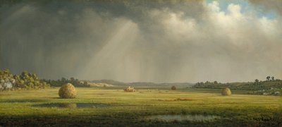 纽伯里波特草原，加利福尼亚州。 1876-81。 作者 Martin Johnson Heade