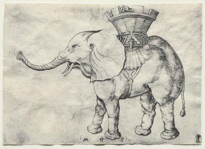 大象与豪达角c。 1485。 作者 马丁·尚高
