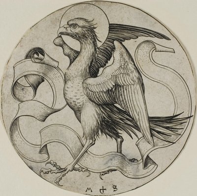 圣约翰之鹰 作者 马丁·尚高