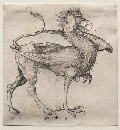 格里芬，1400年代。 作者 马丁·尚高
