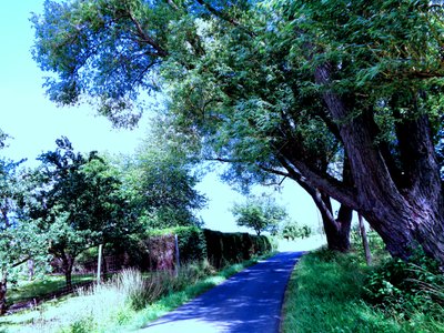 夏天晚上散步 作者 玛蒂娜·柯尼兹基（Martina Konitzky）