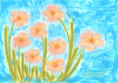 春天唤醒郁金香万寿菊 作者 玛蒂娜·柯尼兹基（Martina Konitzky）