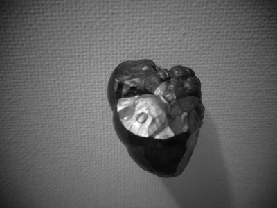 金属 作者 玛蒂娜·柯尼兹基（Martina Konitzky）