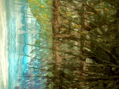 夏季实地考察 作者 玛蒂娜·柯尼兹基（Martina Konitzky）