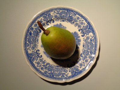 Villeroy and Boch 梨瓷器 作者 玛蒂娜·柯尼兹基（Martina Konitzky）