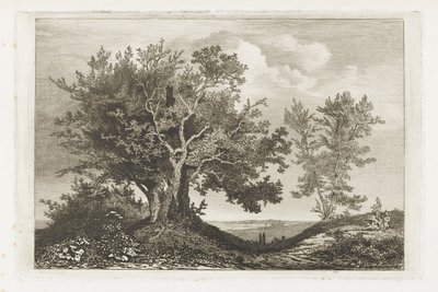 两块树地之间的乡间小路 作者 Martinus Antonius Kuytenbrouwer Jr.