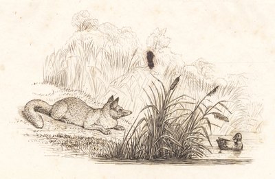 海伊为《半百儿童寓言》绘制的插图 作者 马蒂努斯·罗比（MartinusRørbye）