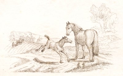 海伊为《半百儿童寓言》绘制的插图 作者 马蒂努斯·罗比（MartinusRørbye）