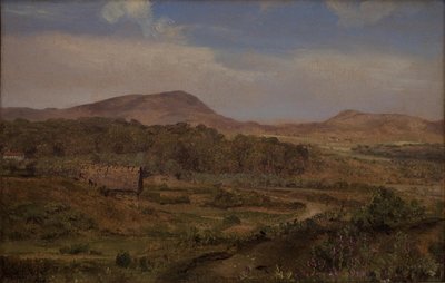 日德兰半岛布洛赫斯附近的景观 作者 马蒂努斯·罗比（MartinusRørbye）