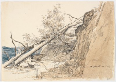 靠在岩石上的树干挪威 作者 马蒂努斯·罗比（MartinusRørbye）
