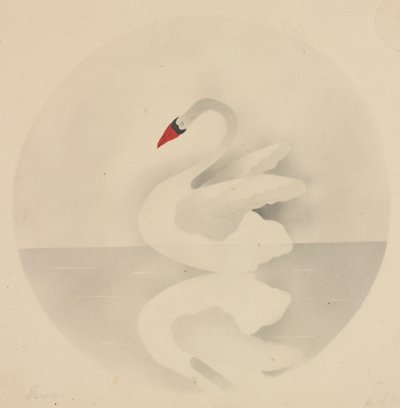 天鹅。 作者 玛丽·阿尔塔·尼姆斯
