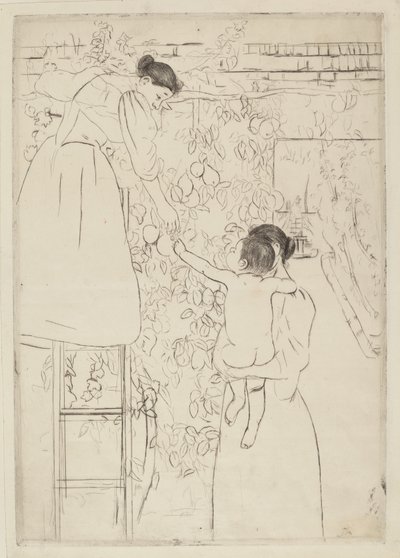 采集水果，约1893年。 作者 玛丽·卡萨特