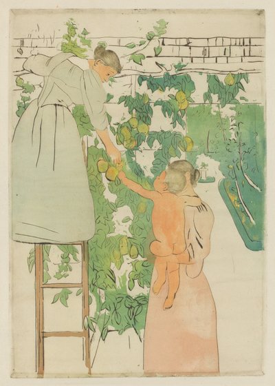 采集水果，约1893年。 作者 玛丽·卡萨特