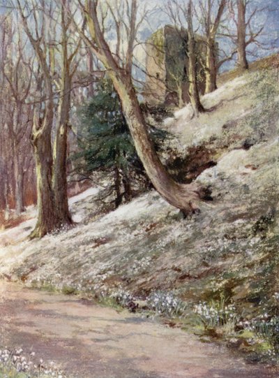 苏格兰花园：Ardgowan（彩色石版画） 作者 玛丽·乔治娜·韦德·威尔逊