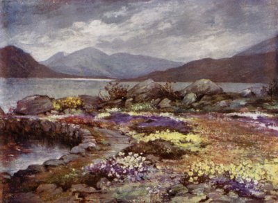 苏格兰花园：Corrour（彩色石版画） 作者 玛丽·乔治娜·韦德·威尔逊