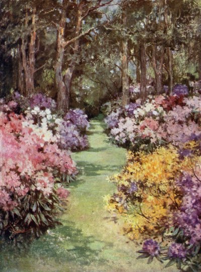 苏格兰花园：The Hirsel（彩色石版画） 作者 玛丽·乔治娜·韦德·威尔逊