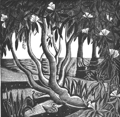杜鹃花，荷兰公园，2006 年（乙烯基雕刻） 作者 玛丽·库珀