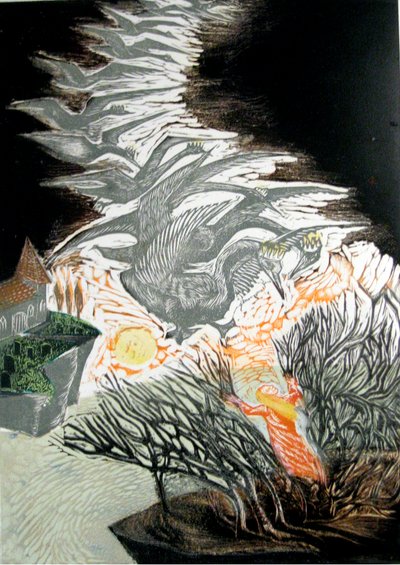 野天鹅 作者 玛丽·库珀