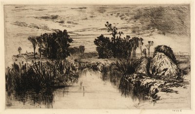 香蒲和树木 作者 玛丽·尼莫·莫兰（Mary Nimmo Moran）