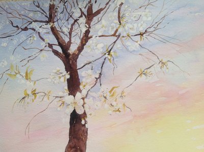 白樱花 作者 玛丽·史密斯