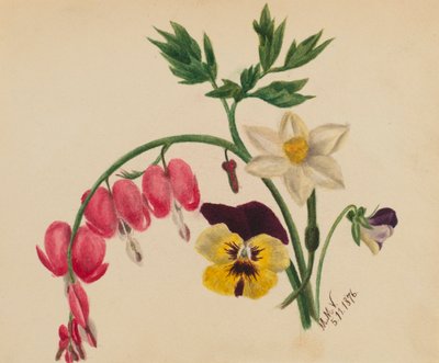无题--混合花，1876年。 作者 玛丽·沃克斯·沃尔科特
