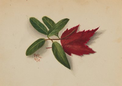 无题》，1873年。 作者 玛丽·沃克斯·沃尔科特
