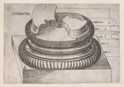Speculum Romanae Magnificentiae：科林斯式底座，来自罗马的Mars Ultor神庙，...，约1537年。 作者 遗传算法硕士