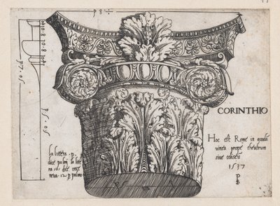 Speculum Romanae Magnificentiae:Corinthian capital, 1537., 1537. 作者 PS大师